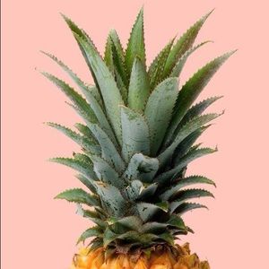 Meet your Posher, Ella